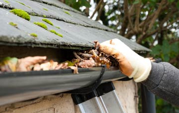gutter cleaning Ynys Isaf, Powys