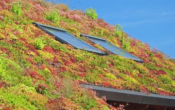 Ynys Isaf living roof systems