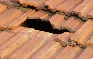 roof repair Ynys Isaf, Powys
