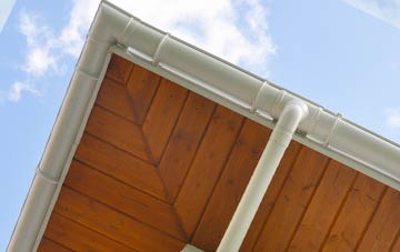 Ynys Isaf soffit types