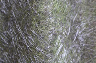 Ynys Isaf fibreglass roof work